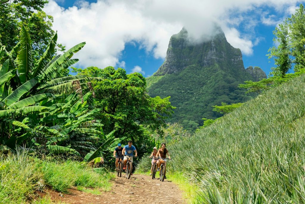 Explorer l&rsquo;Outre-mer : la célèbre Route des Ananas en Polynésie