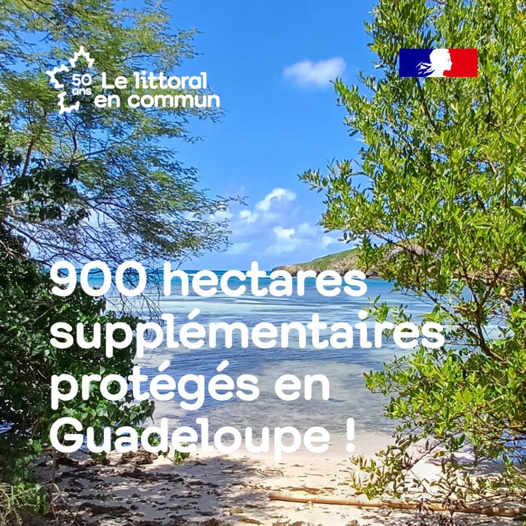 Guadeloupe en Outre-mer : le Conservatoire du littoral protège 900 hectares de plus