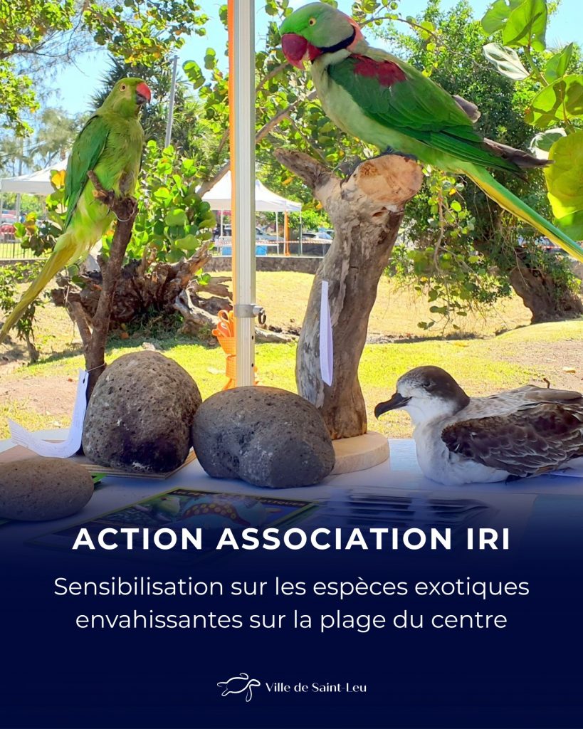 Biodiversité en Outre-mer : protéger La Réunion face aux espèces envahissantes