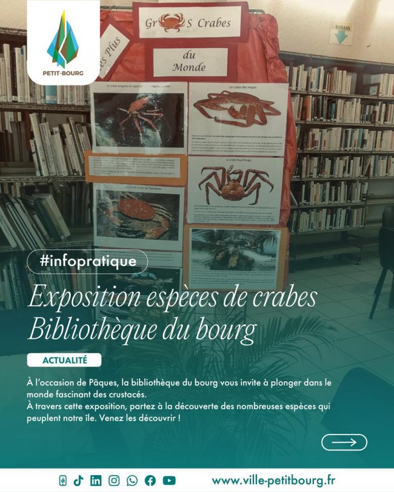 Patrimoine d&rsquo;Outre-mer : Découvrez l&rsquo;exposition sur les crabes à la Ville de Petit-Bourg en Guadeloupe