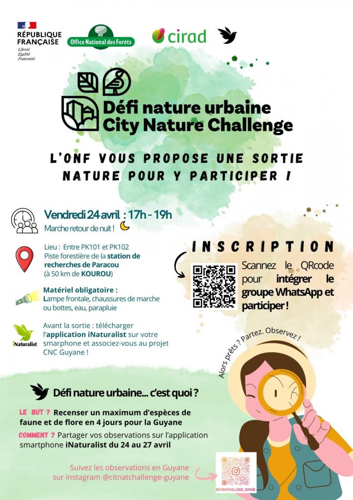 Explore la biodiversité avec l&rsquo;ONF Guyane : un défi nature unique en Outre-mer