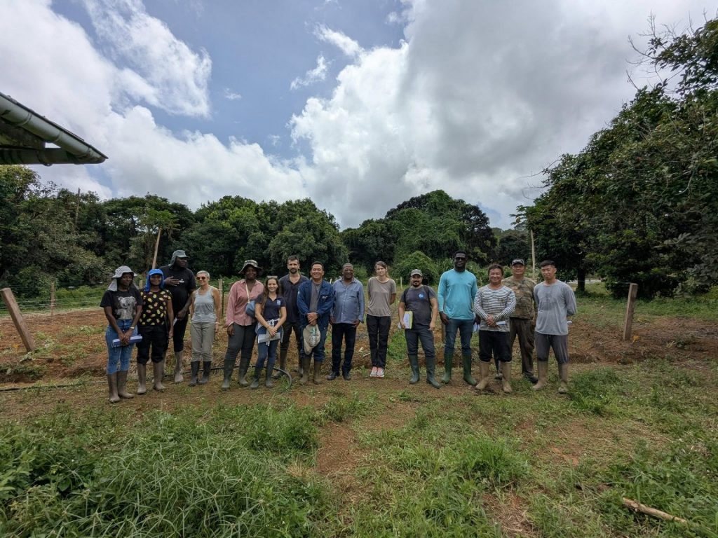 La Collectivité Territoriale de Guyane en innovation agroécologique en Outre-mer