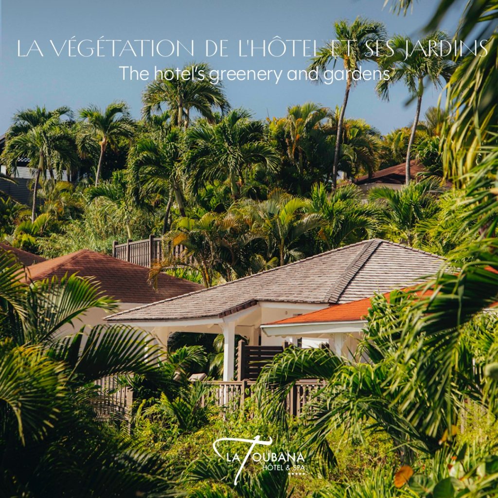 La Toubana Hôtel & Spa Guadeloupe : L&rsquo;Excellence de l&rsquo;Outre-mer au Cœur d&rsquo;une Expérience Unique