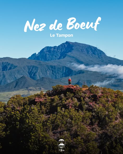 Otisud présente le Nez de Bœuf : Le joyau sauvage de La Réunion en Outre-mer