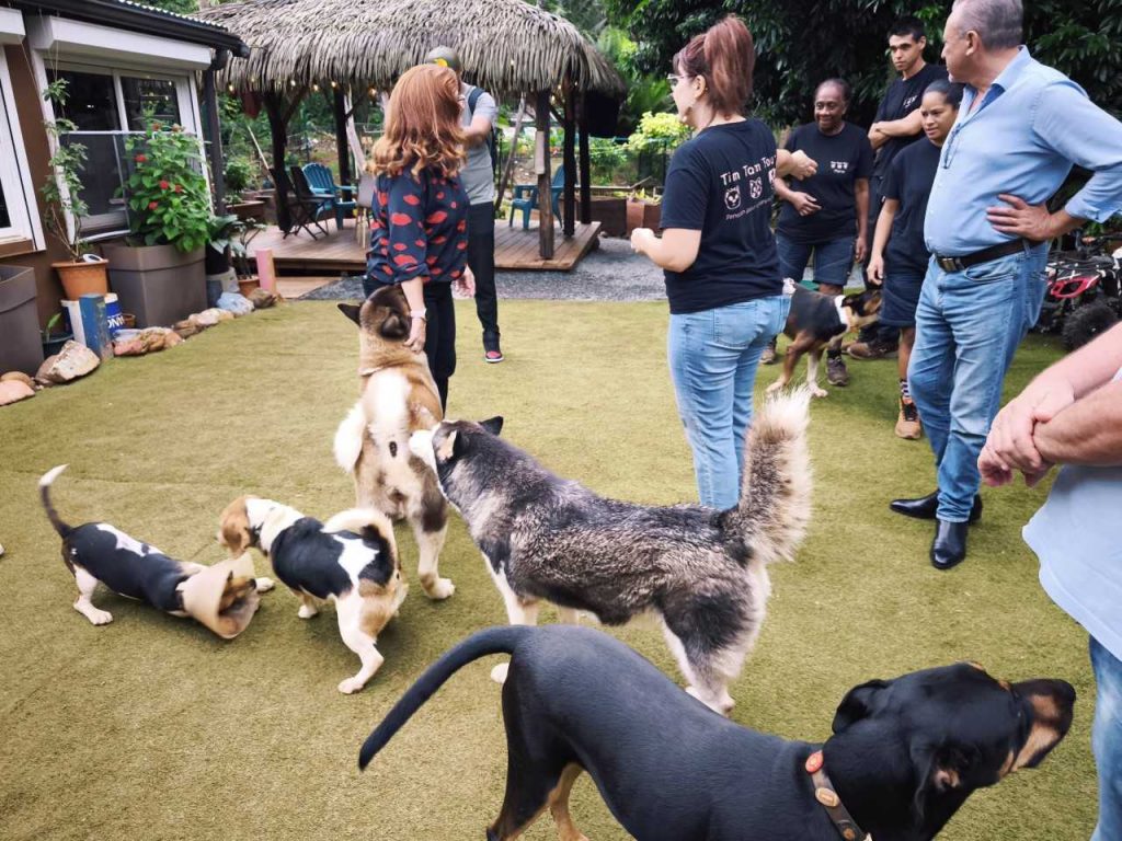 Ville de Païta : Le renouveau de l&rsquo;action publique en Nouvelle-Calédonie, terre d&rsquo;exception en Outre-mer