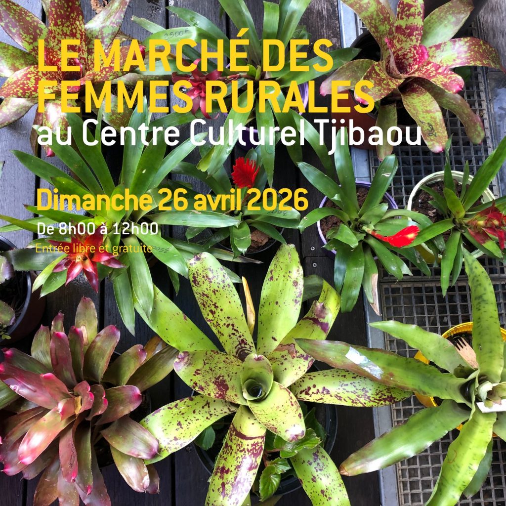 Marché des Femmes Rurales au Centre Culturel Tjibaou. Vivez l&rsquo;authenticité de la Nouvelle-Calédonie en Outre-mer