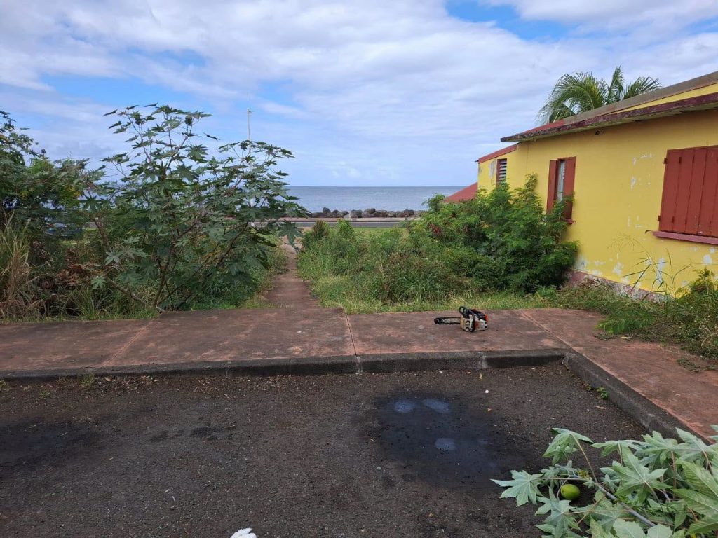 Guadeloupe : Mobilisation exemplaire pour l&rsquo;environnement à la Ville de Basse-Terre en Outre-mer