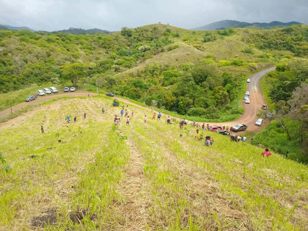 Mobilisation pour le reboisement à la Ville de Bourail en Nouvelle-Calédonie : un geste fort pour l&rsquo;Outre-mer