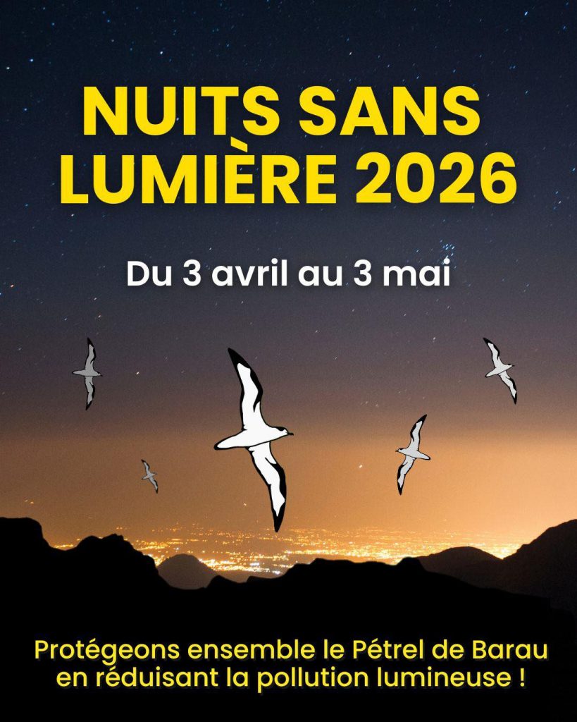 Camping de Pâques 2026 à la Ville du Gosier en Guadeloupe. Un événement ...