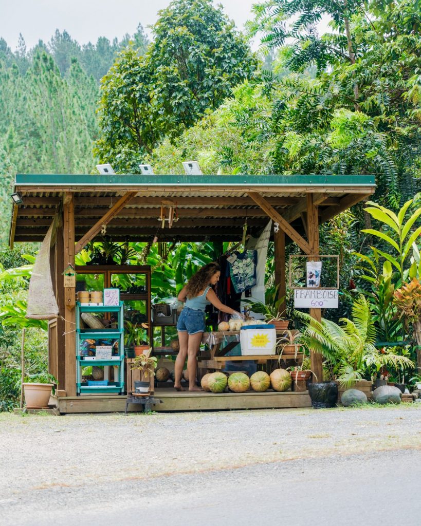 Saveurs et terroir en Nouvelle-Calédonie : ta pause gourmande avec Tourisme Province Nord dans l&rsquo;Outre-mer