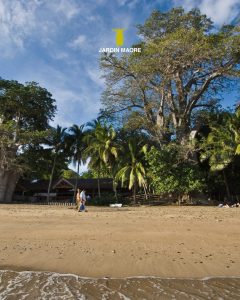 Évade-toi au Jardin Maore : Ton refuge d’exception en Outre-mer à Mayotte