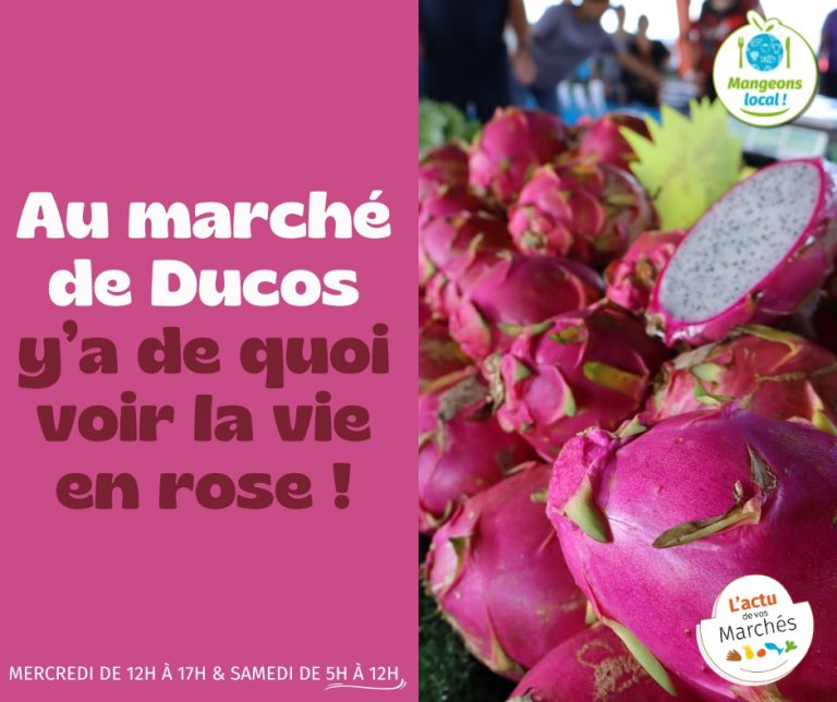 Le Marché de Ducos : Un rendez-vous incontournable de la Chambre d&rsquo;agriculture et de la pêche de Nouvelle-Calédonie en Outre-mer