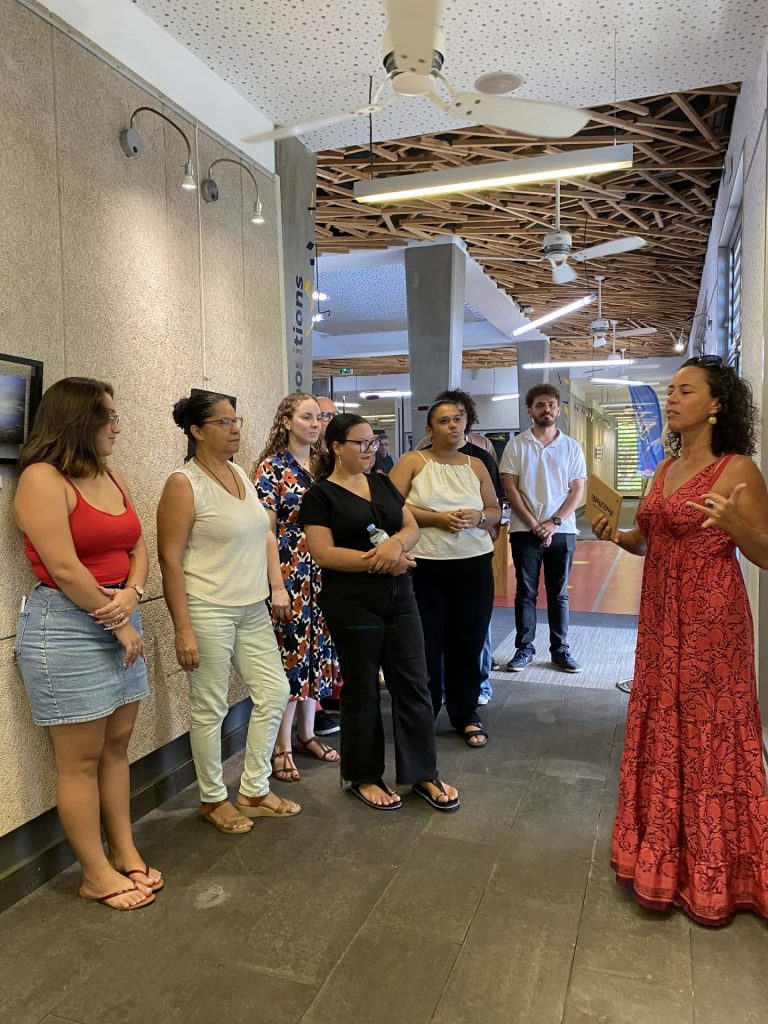 L’exposition Dig Dig d&rsquo;Ysabelle Gomez à la Médiathèque du Sud Sauvage : Un trésor culturel en Outre-mer à La Réunion