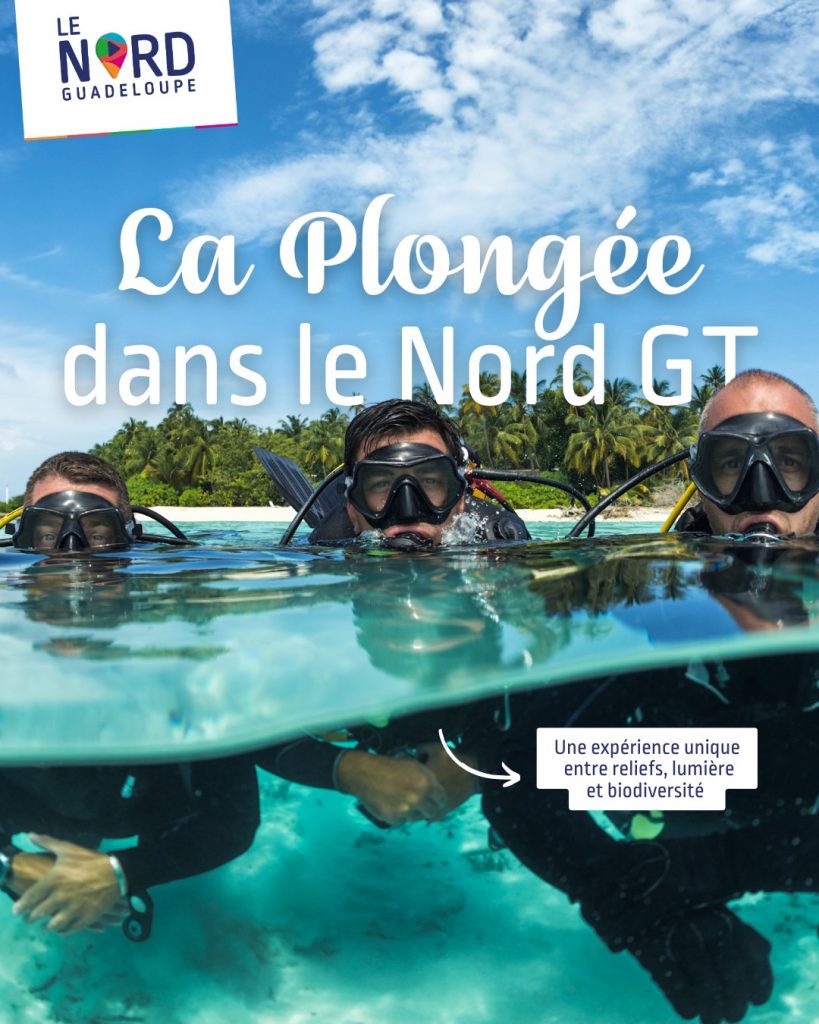 Plongée en Outre-mer : explorez le Nord Guadeloupe, un sanctuaire préservé d&rsquo;Outre-mer Tourisme