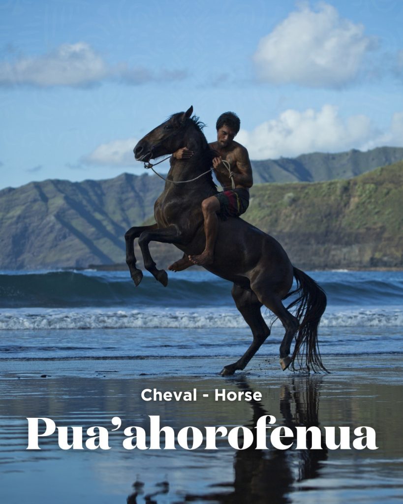 Galop sauvage en Outre-mer : explorez les îles Marquises avec Air Tahiti Nui, Tahiti Tourisme et Outre-mer Tourisme