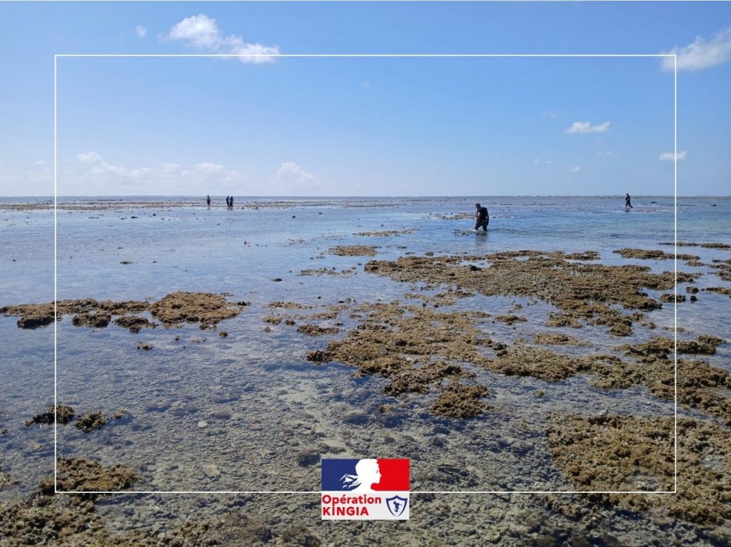 Protection des ressources marines en Outre-mer : le Préfet de Mayotte renforce les contrôles pour la préservation de la biodiversité