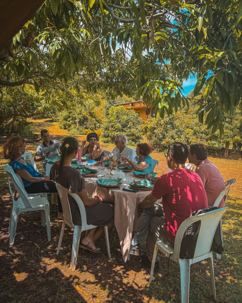 Vacances à La Réunion : 3 expériences incontournables avec Destination Sud Réunion et Outre-mer Tourisme