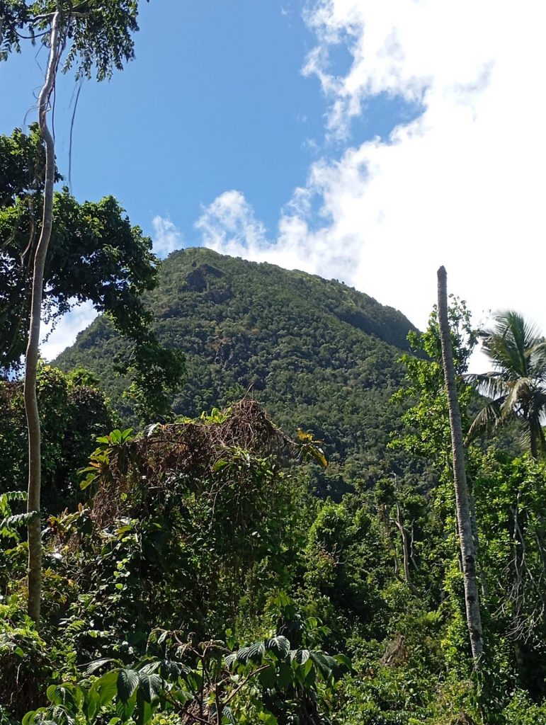 Ascension du Mont Choungui à Mayotte : l’expérience ultime Outre-mer avec MaoreRando