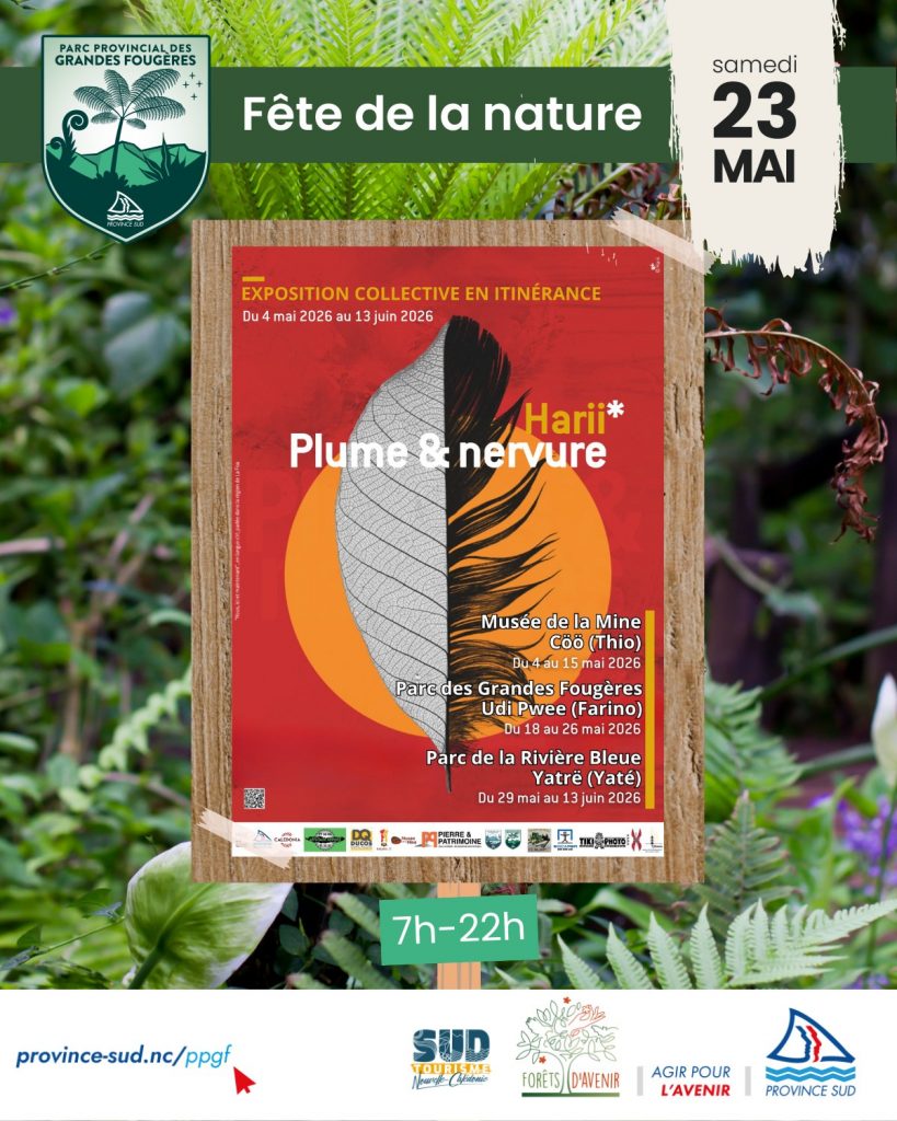 Nature et Art : Découvrez l&rsquo;Exposition Plume et Nervure au Parc Provincial des Grandes Fougères en Nouvelle-Calédonie, le Joyau de l&rsquo;Outre-mer