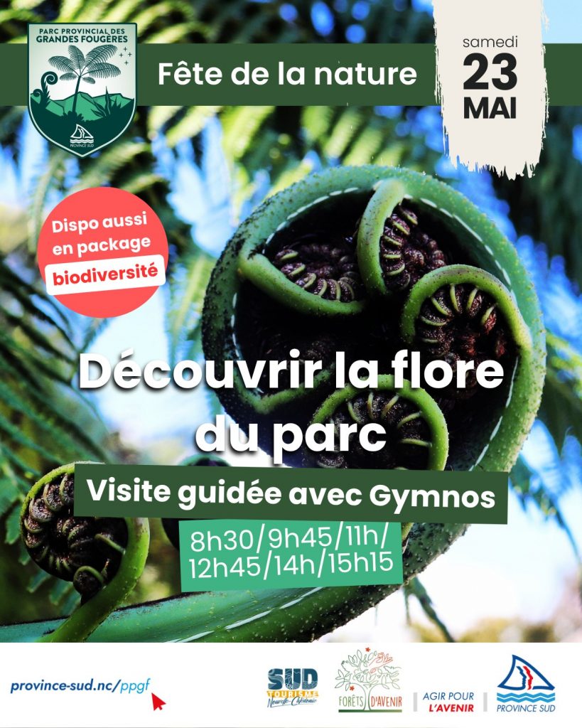 Découvrez la flore secrète au Parc Provincial des Grandes Fougères : un trésor de l&rsquo;Outre-mer en Nouvelle-Calédonie