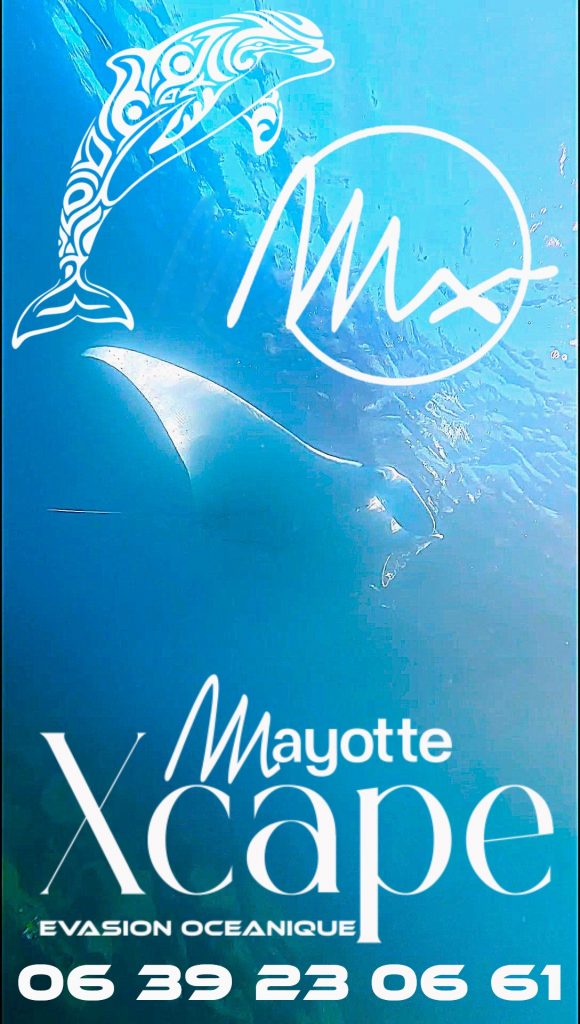 Excursion nautique à Mayotte : Explore le lagon avec Mayotte Xcape lors du long week-end de l&rsquo;Ascension en Outre-mer