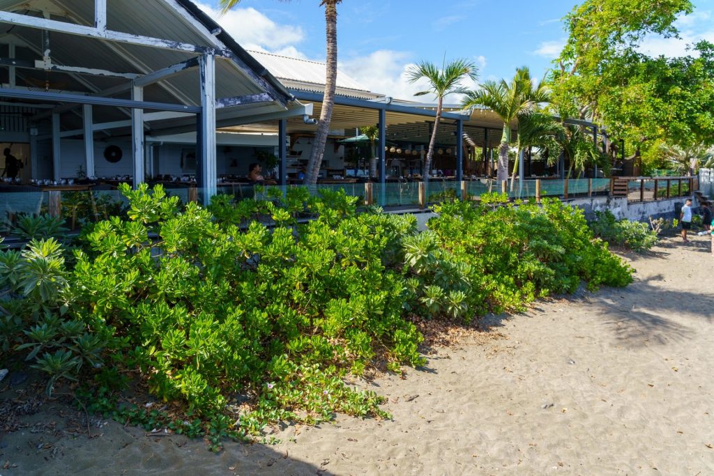 La Réunion au cœur de l&rsquo;écologie. La Ville de Saint-Leu célèbre 10 ans d&rsquo;engagement en Outre-mer