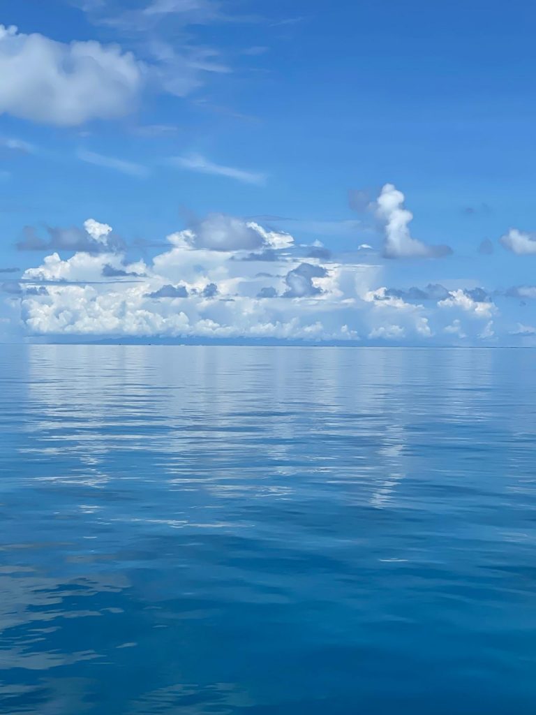 Cap vers le lagon de Mayotte : L&rsquo;aventure marine avec Cetamayotte et Outre-mer Tourisme