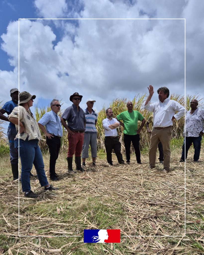 Le Préfet de la Martinique à l&rsquo;écoute des acteurs de la filière canne : un enjeu vital pour l&rsquo;Outre-mer