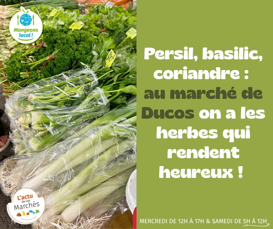 Marché de Ducos : Le rendez-vous incontournable de la Chambre d&rsquo;agriculture et de la pêche de Nouvelle-Calédonie en Outre-mer