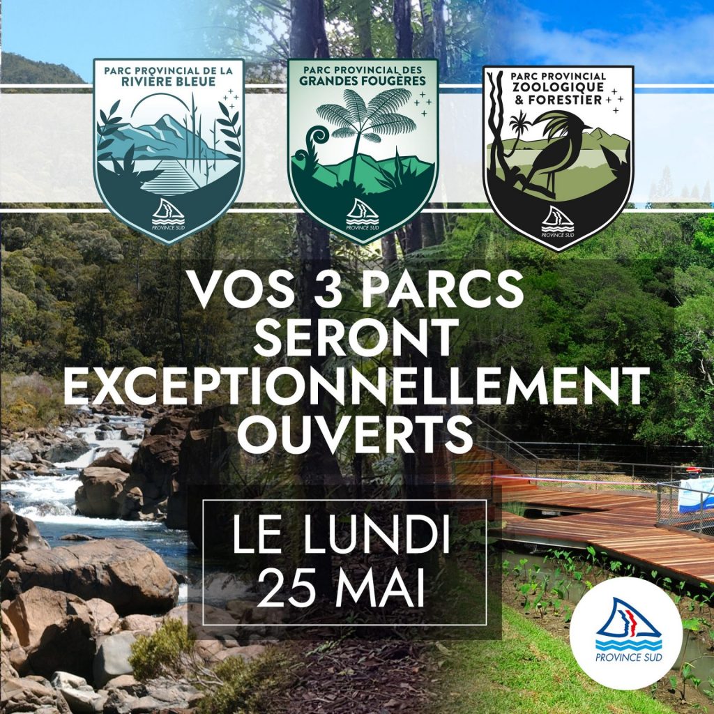 Profitez d’une randonnée nature au Parc Provincial des Grandes Fougères en Nouvelle-Calédonie, une pépite en Outre-mer