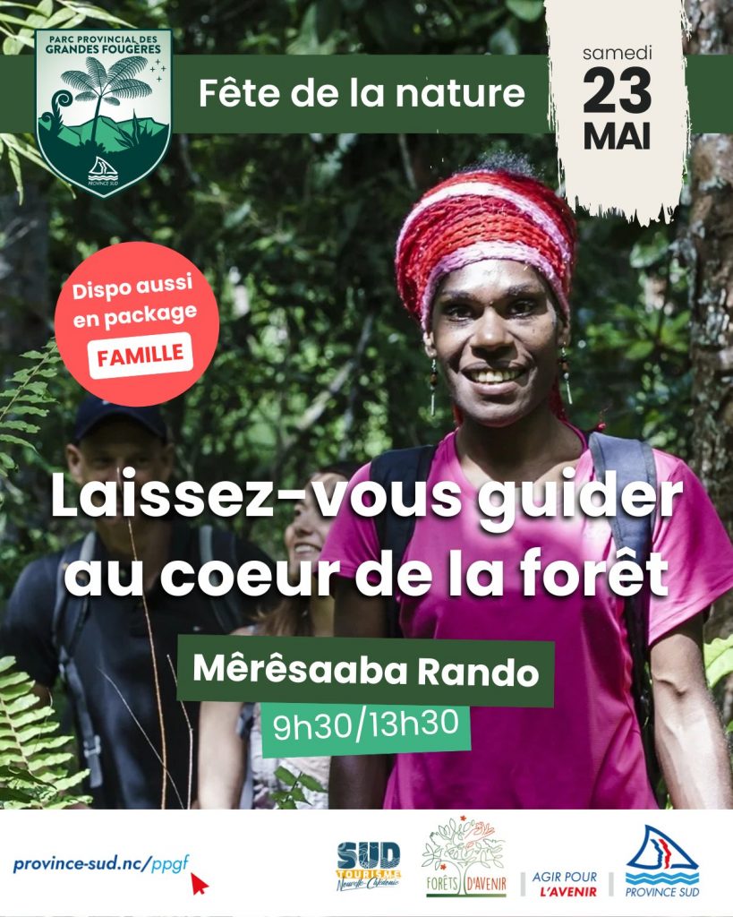 Randonnée et légendes en Nouvelle-Calédonie : Explorez le Parc Provincial des Grandes Fougères avec Outre-mer Tourisme