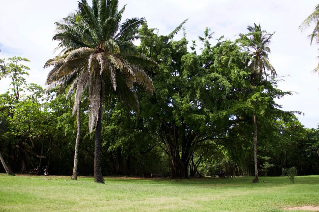 Randonnée nature en Guyane : la Ville de Cayenne sublime le site littoral de l&rsquo;Anse Châton au cœur de l&rsquo;Outre-mer