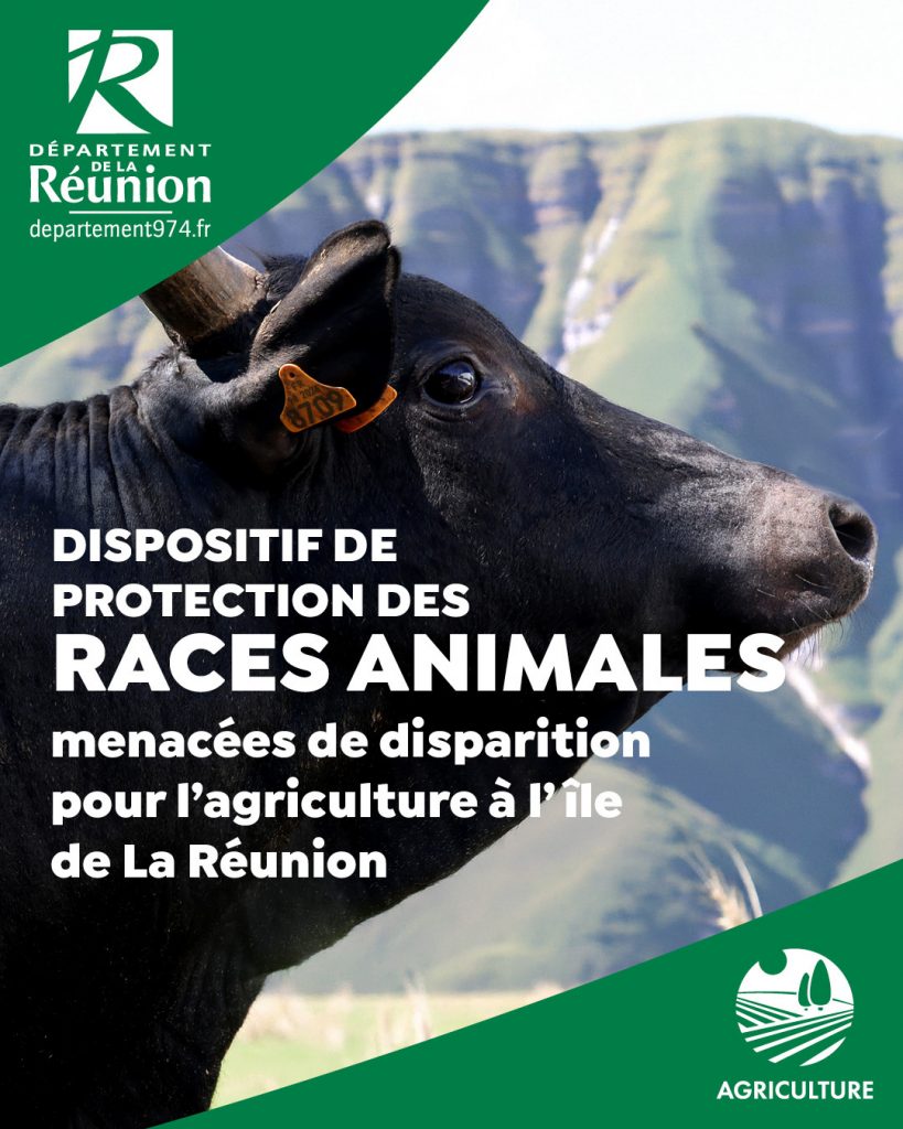 Sauvez le patrimoine vivant du Département de la Réunion et boostez l&rsquo;Outre-mer avec Outre-mer Tourisme