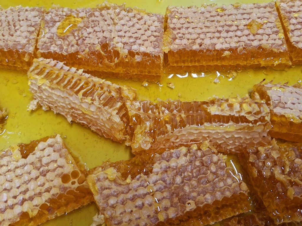L&rsquo;or ambré de l&rsquo;Outre-mer : Thomas découvre l&rsquo;apiculture à l&rsquo;Ecole de la Nature de la Réunion