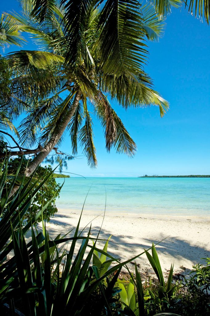 Guide Complet : Tourisme Nouvelle-Calédonie avec l&rsquo;Île des Pins en Outre-mer