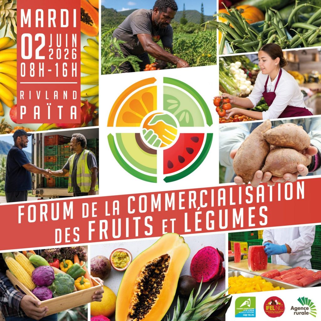 Fruits et légumes en Outre-mer : booste ton activité avec la Chambre d&rsquo;agriculture et de la pêche de Nouvelle-Calédonie et Outre-mer Tourisme