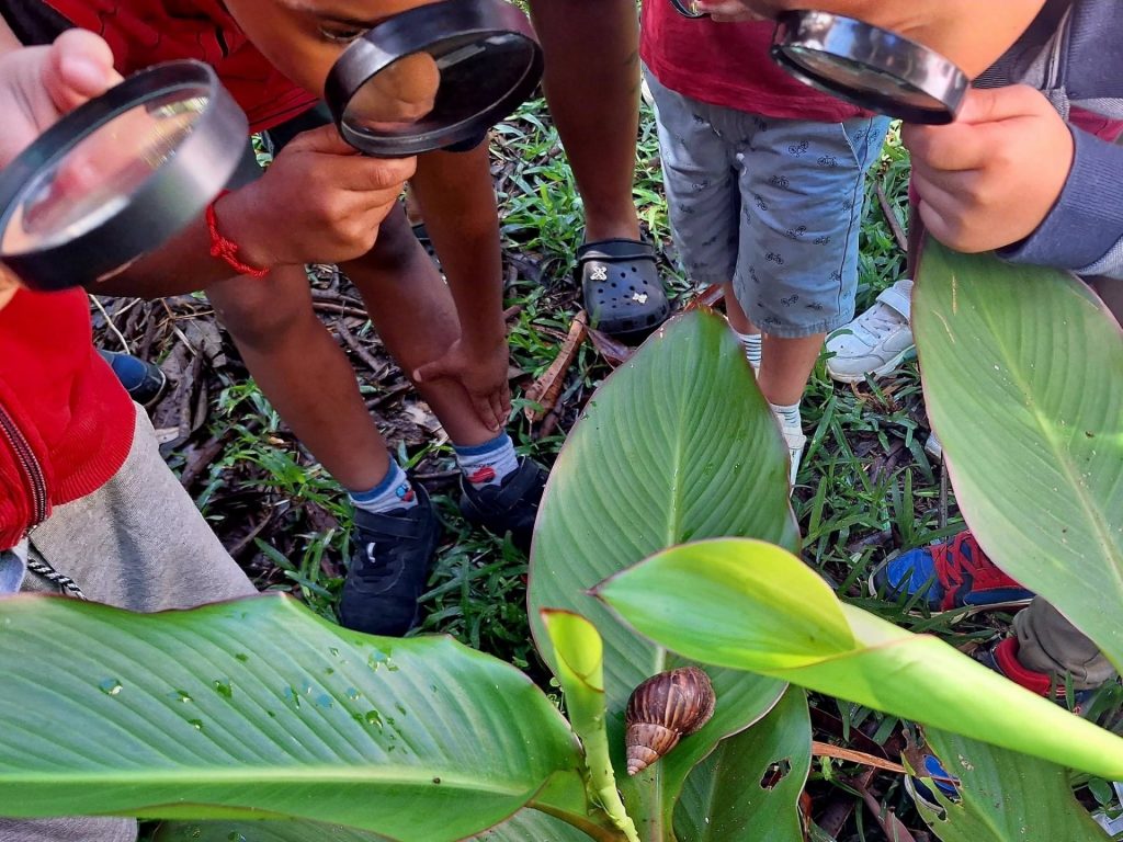 Éco-tourisme et biodiversité : Comment l&rsquo;Ecole de la Nature de la Réunion sensibilise les jeunes de La Réunion aux secrets de l&rsquo;Outre-mer ?