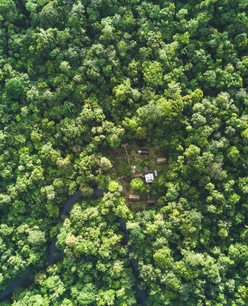 Écotourisme en Guyane : Choisis l&rsquo;immersion sauvage au Camp Cariacou avec Guyane Amazonie et Outre-mer Tourisme
