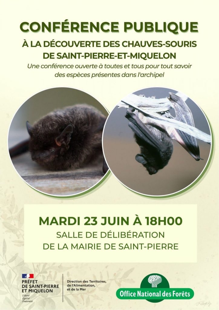 Comment observer la faune sauvage à Saint-Pierre et Miquelon ? Le Préfet de l&rsquo;archipel de Saint-Pierre et Miquelon﻿ soutient une conférence inédite sur la biodiversité en Outre-mer