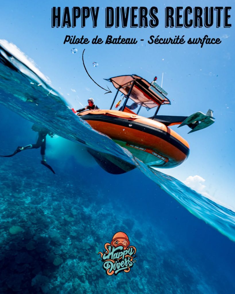 Plongée sous-marine en Outre-mer : Comment travailler dans le lagon de rêve avec Happy Divers Mayotte ?
