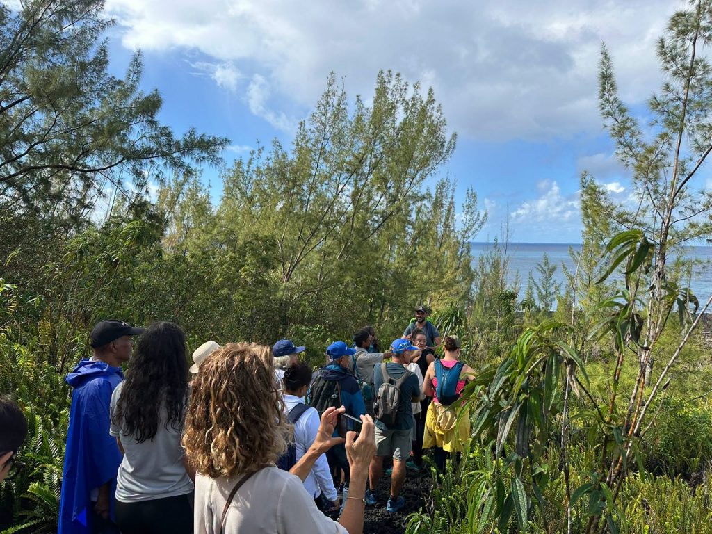 Éco-tourisme à La Réunion : Quoi faire sur le Côté Est Réunion pour vivre une aventure volcanique et gourmande en Outre-mer ?