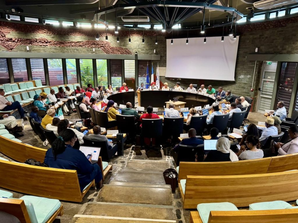 Sécurité et Action Citoyenne : La Ville de Mamoudzou Vote 29 Rapports Clés Pour Mayotte, région d&rsquo;Outre-mer