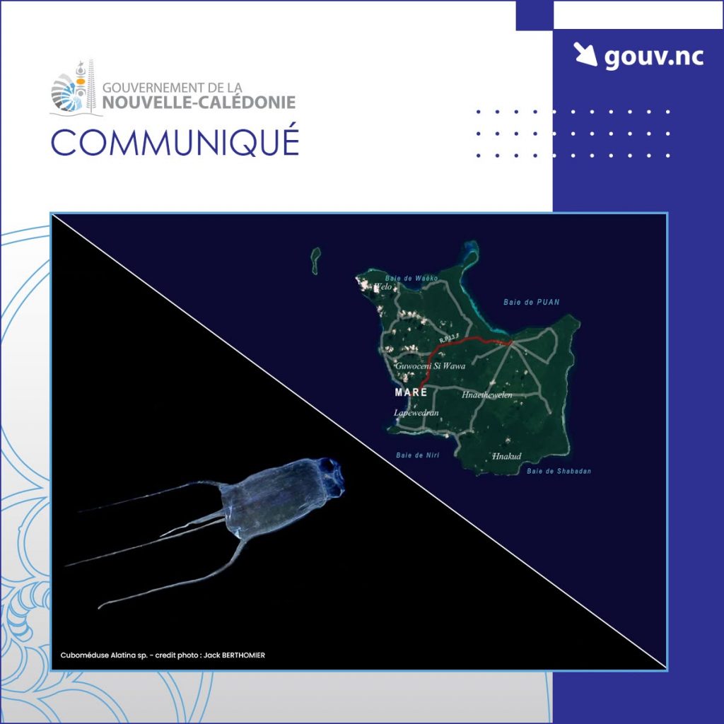 Où se baigner en toute sécurité dans le Pacifique ? Les consignes du Gouvernement de la Nouvelle-Calédonie face aux méduses en Outre-mer