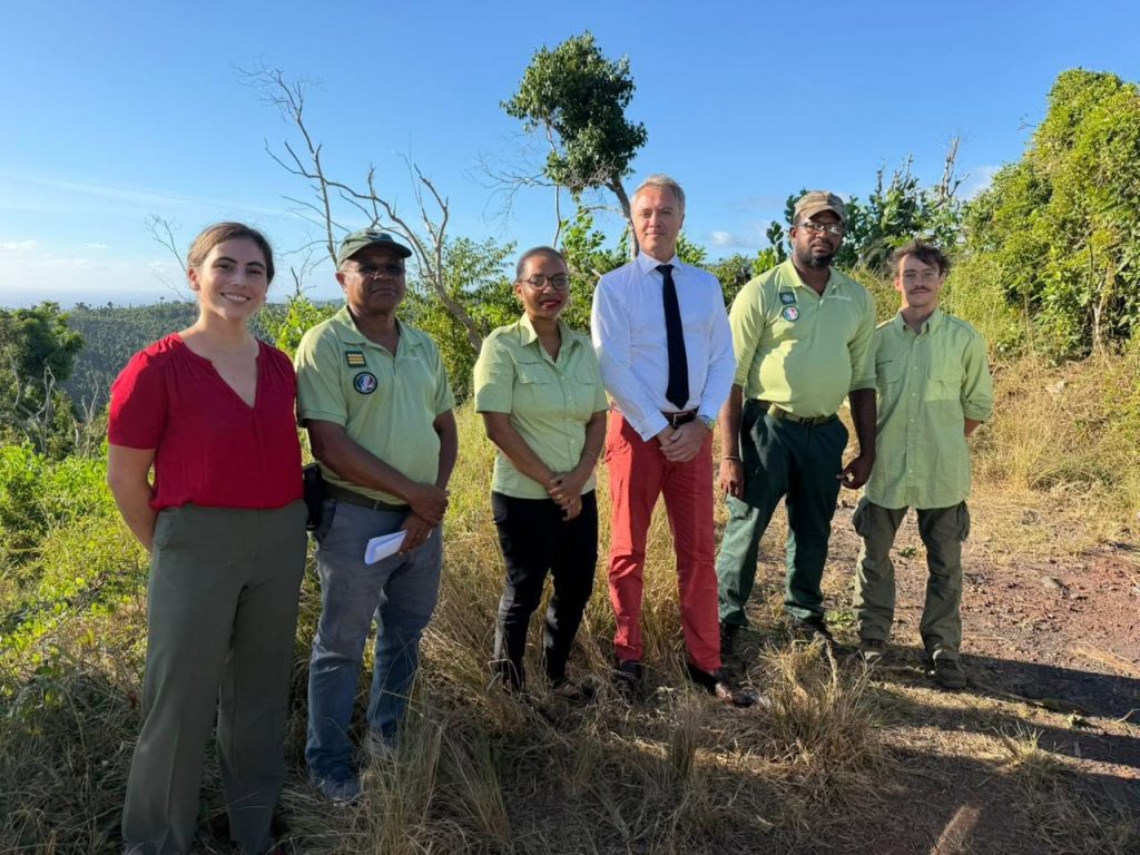 Comment visiter la forêt de Combani ? Les engagements du Préfet de Mayotte pour préserver la biodiversité en Outre-mer