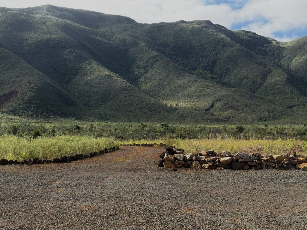 Où faire de l&rsquo;éco-tourisme en Nouvelle-Calédonie ? Découvrez le Marais Kiki avec l&rsquo;Agence néo-Calédonienne de la Biodiversité, perle verte de l&rsquo;Outre-mer