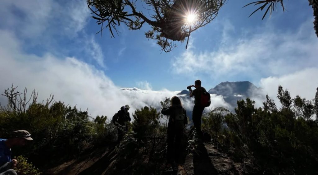 Quelles randonnées incontournables faire à La Réunion ? Partez à la découverte du Maïdo avec le Territoire de l&rsquo;Ouest – Île de La Réunion et découvrez les secrets d&rsquo;Outre-mer
