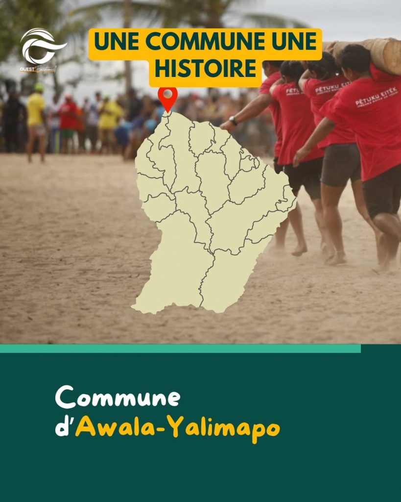 Éco-tourisme en Outre-mer : Planifie ton Road-Trip pour Observer les Tortues Marines avec Tourisme Ouest Guyane et Outre-mer Tourisme