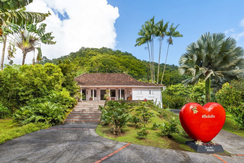 Éco-tourisme en Outre-mer : Pourquoi le Jardin de Balata en Martinique est-ce l&rsquo;un des plus beaux parcs de la Caraïbe ?