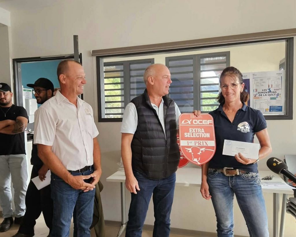 Tourisme de terroir et traditions : Pourquoi le prestigieux concours de l&rsquo;UPRA Bovine Nouvelle-Calédonie fait vibrer l&rsquo;élevage d&rsquo;Outre-mer