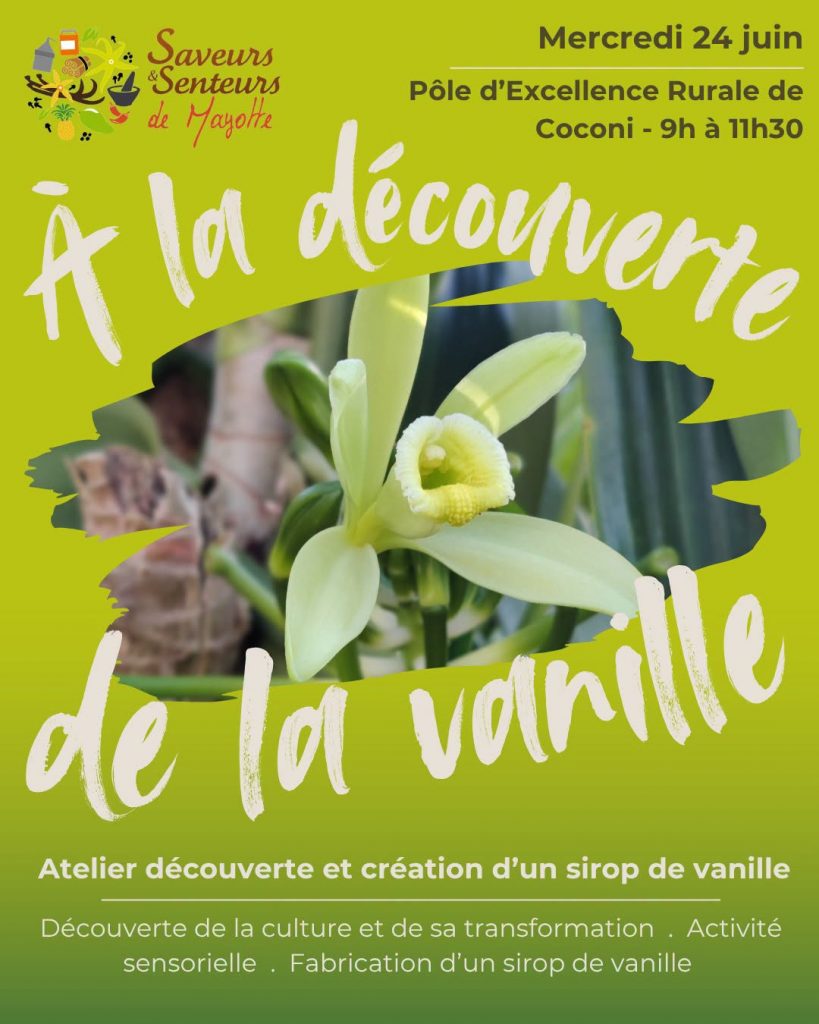 Quelles activités faire à Mayotte ? Découvrez les secrets de l&rsquo;or noir en Outre-mer avec l&rsquo;Association Saveurs et Senteurs de Mayotte